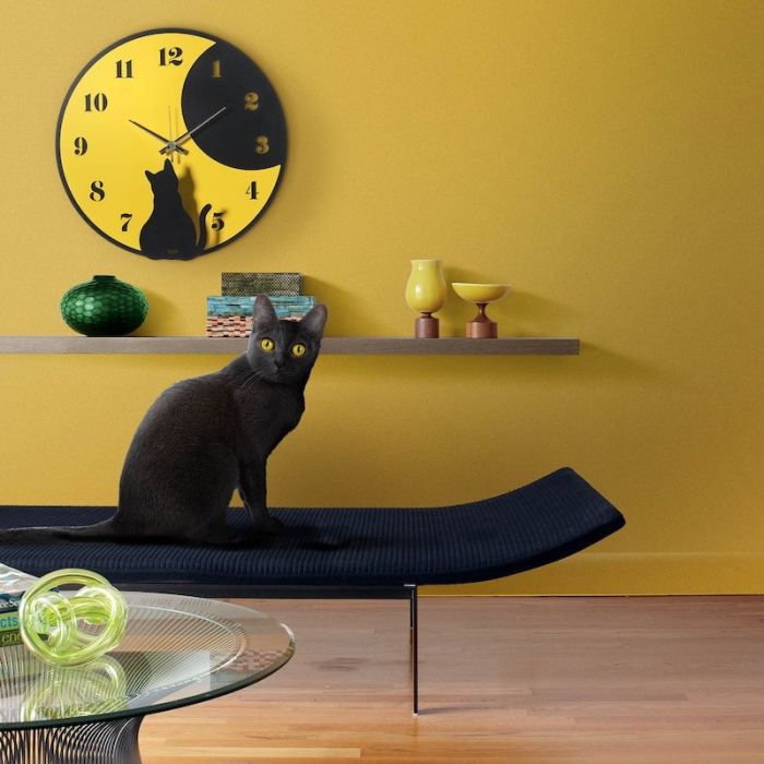 Moon Whiskers, Orologio da Parete 43cm