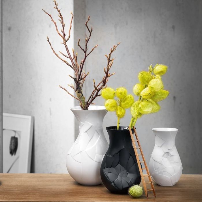 Vase of Phases, Vaso