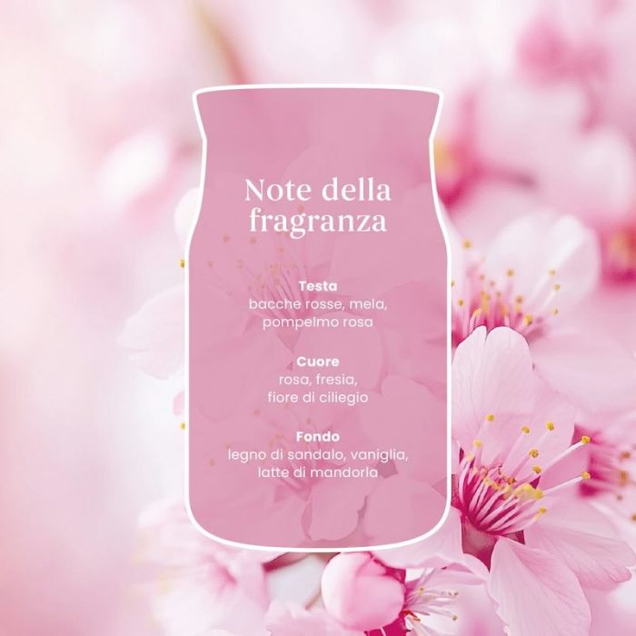 Enchanting Cherry Blossom, Candela Signature