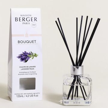 BQT Glacon, Diffusore a Bastoncini Champs de Lavande