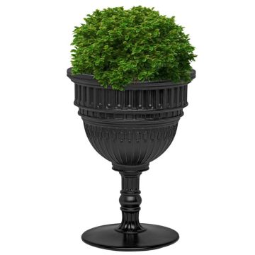 Capitol, Vaso e Champagne Cooler