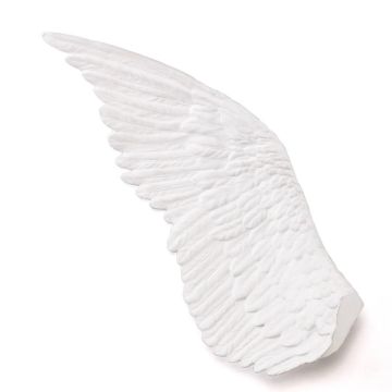 Memorabilia, Mvsevm Wing Sinistra