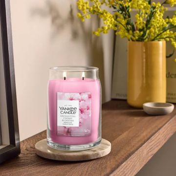 Enchanting Cherry Blossom, Candela Signature