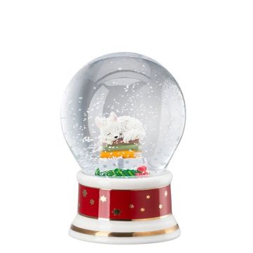 Palla di Neve 2025 "Ogni anno ritorna"