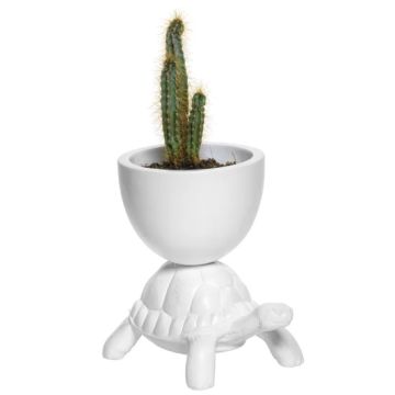 Turtle Carry XS Planter. Portavaso 25cm
