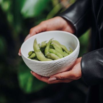 Manufacture Rock Blanc, Scodella