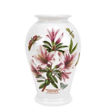 Botanic Garden, Vaso Azalea 20cm